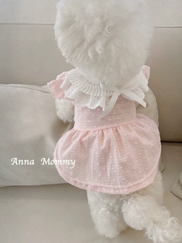 Одежда для собак весна и летняя юбка для домашних животных, а не медведя плюшевая бомей