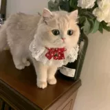 Мятный нагрудник, слюнявчик, милый шарф, колокольчик с бантиком, чокер, кот, домашний питомец