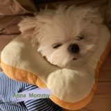 Кошачья тост Элизабет мягкий воротник кошачий кот Круглые круги солнечных цветочных животных вокруг шеи, чтобы предотвратить облизывание котята шеи