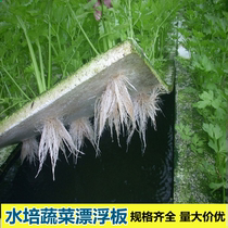 Hydroponic vegetable floating plate greenhouse Greenhouse Fish Pond No Soil Cultivated Hollow Vegetable Watercress Cultivation for commercial use