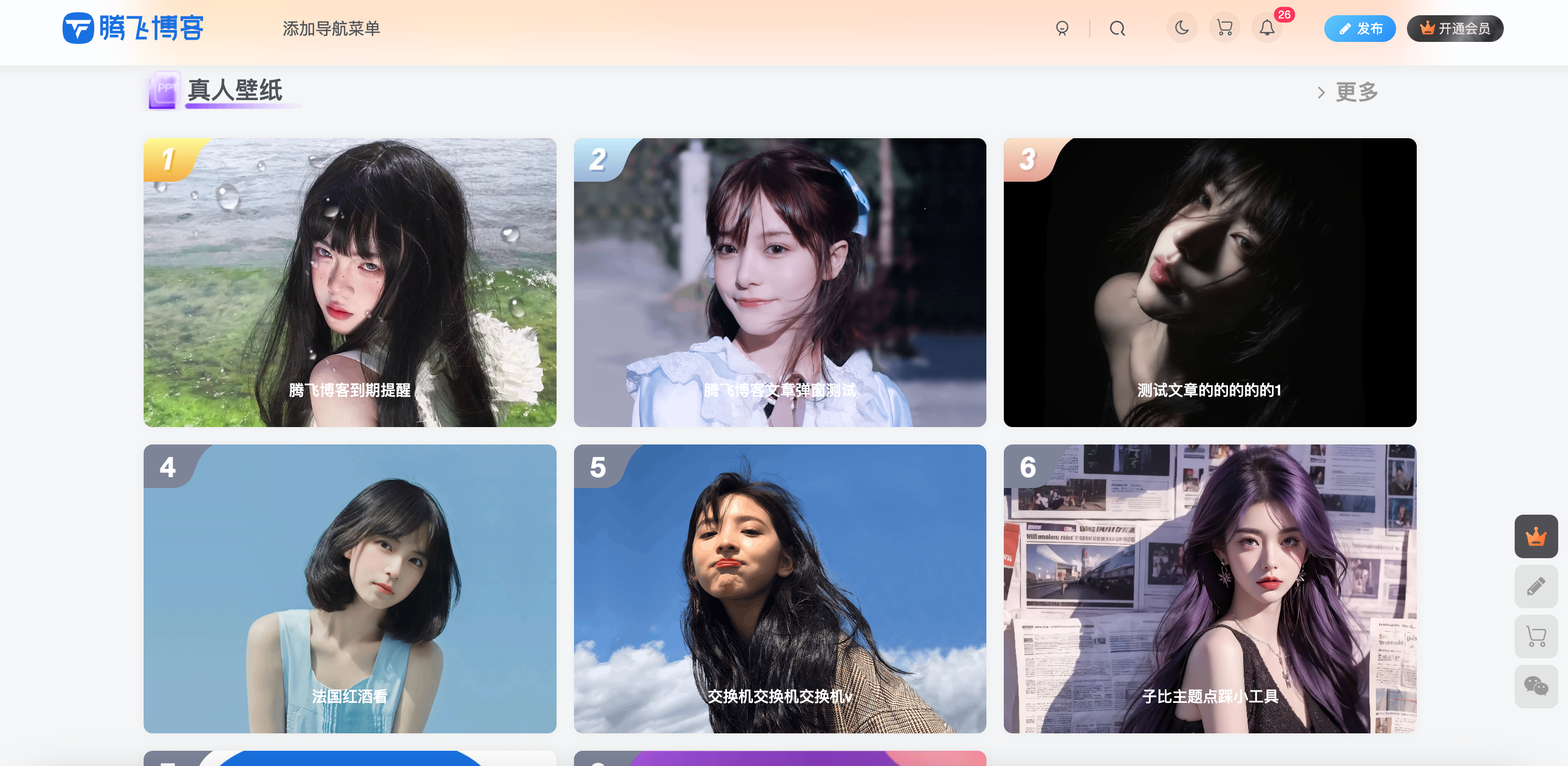 子比主题 – 真人壁纸样式小工具