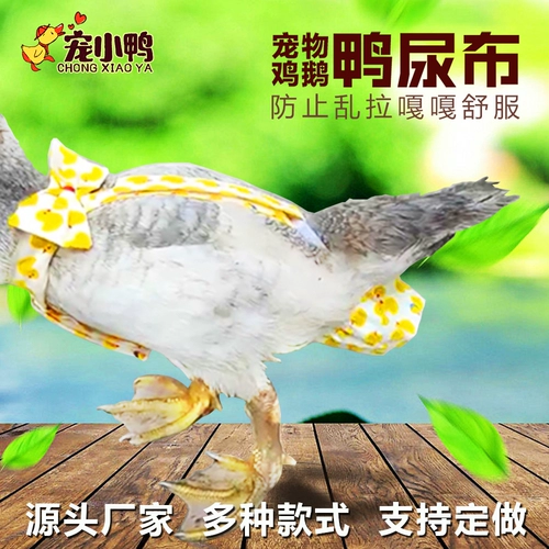 Чистая моча мочи с красным питомцем не мокрой подгузники.