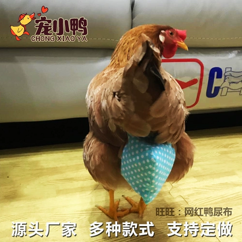 Разборка версии интернет -знаменитости Pet Goose Chicken Моча - это не влажная продукция Kell Duck Products Пакер подгузников.