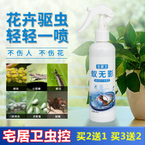 Bellis Shilan House Guwei flower plant insecticidal Universal Red Spider scale shell worm special aphids home indoor