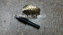Factory custom processing worm gear Worm double head worm Multi-head worm Various materials worm gear