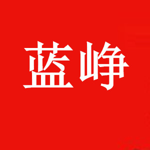 蓝峥灯具品牌店