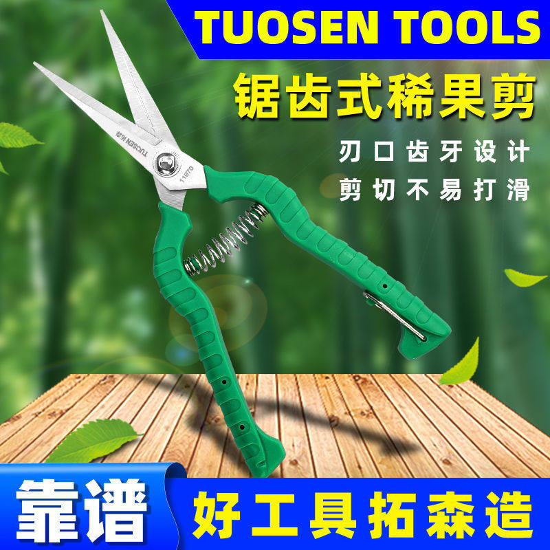 Tuosen fruit branch scissors Stainless steel straight head Xiguo shears Fruit picking scissors Vineyard art shears 8 inch fruit tree pruning thin fruit scissors