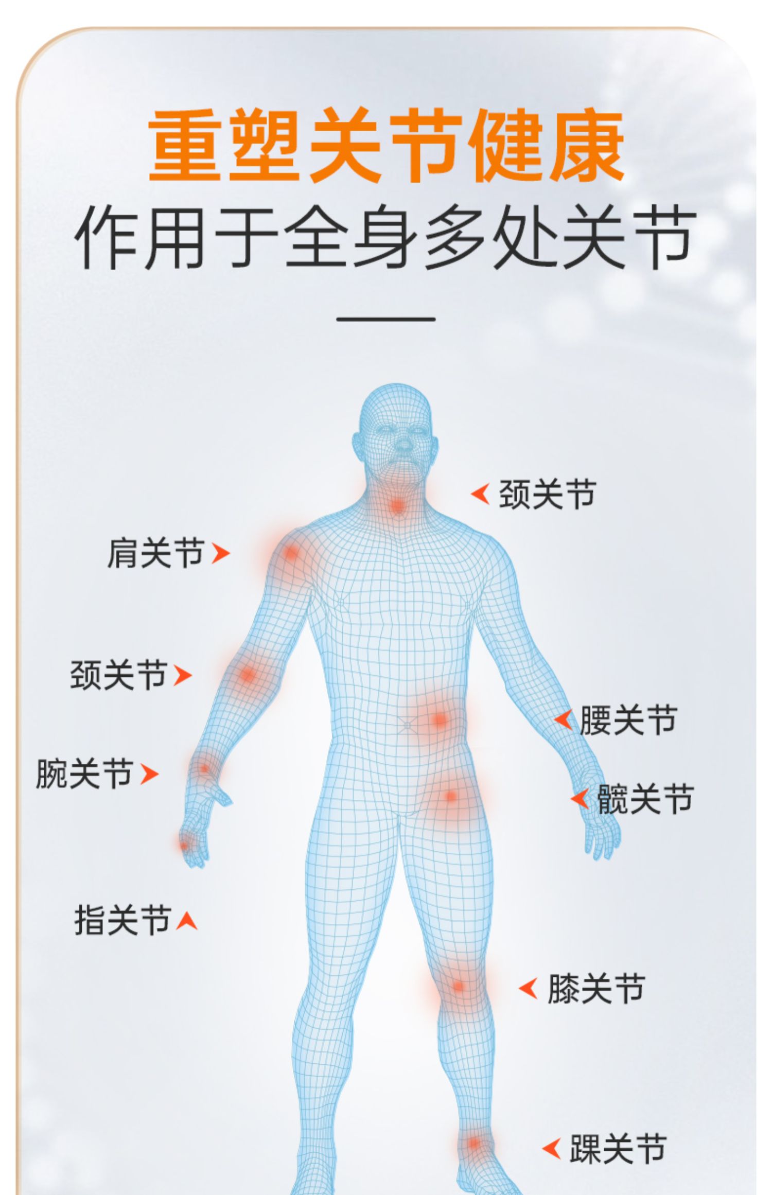 【Biosline】膝盖关节疼痛膏