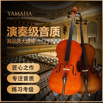 Yamaha cello Artisanal Cello Cello Adult Children Beginners Professional Level CalLevel Playing Grade
