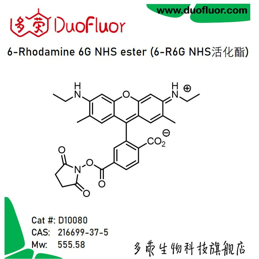 6-Rhodamine 6G NHS 6-罗丹明6G NHS活化酯216699-37-5多荧D10080