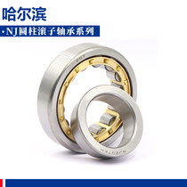 Harbin cylindrical bearing NJ202 203204205206207208209210 211212EM