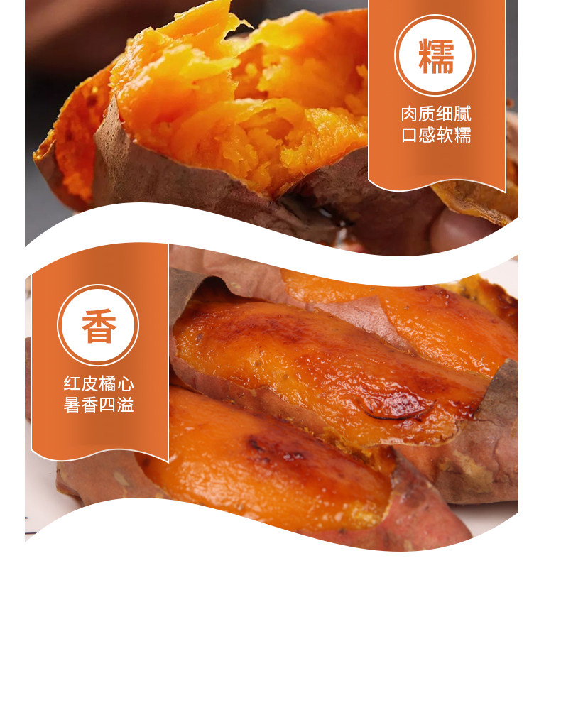 烟薯25号糖心蜜薯净*5斤 图7