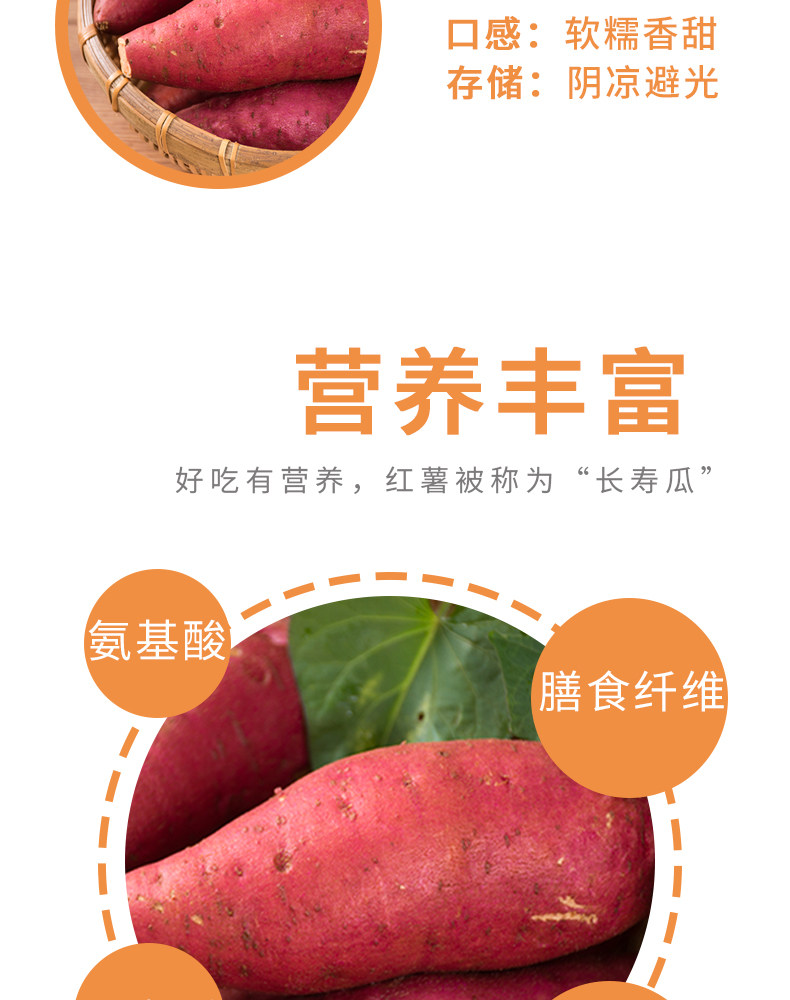 烟薯25号糖心蜜薯净*5斤 图3