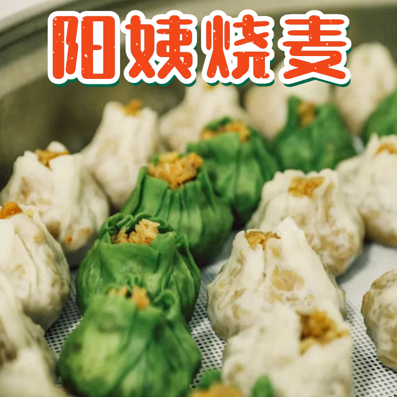Yang Yi handmade shaomai zongzi salted egg yolk shaomai fresh meat zongzi net red Hunan specialty Changsha cuisine