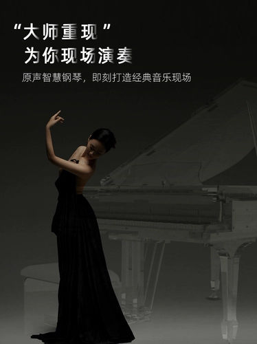 Японское элитное импортное профессиональное пианино