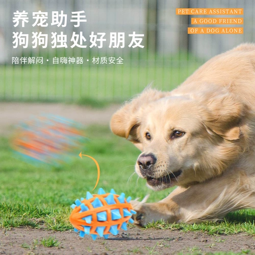 Игрушка для собак, измельчение зубов, шар для волос, нечистый артефакт щенок Corki Puppies Golden Retriever Большой собачьи домашние принадлежности