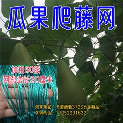 .Claw shed net, luffa climbing vine hanging net, ການປູກເຮືອນແກ້ວ, carob bean, grape, melon ຂົມ, ກອບ handrail ສີເຫຼືອງ, ສວນຫມາກໂມ