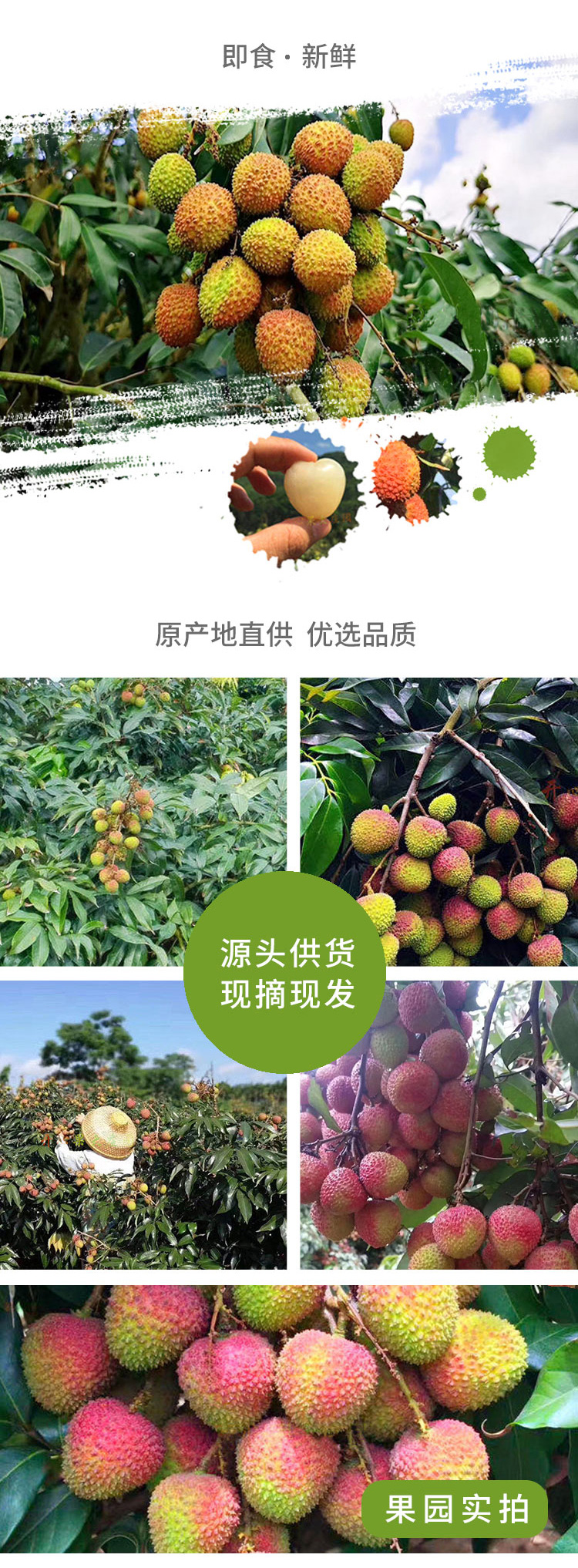 天猫超市 海南妃子笑荔枝 2.5kg/5斤 图2