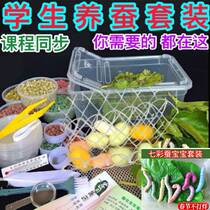 Ten fresh silkworm cocoon childrens silk box students raise the childhood childhood tool 1234