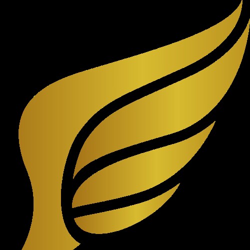 大雁杂货铺的LOGO