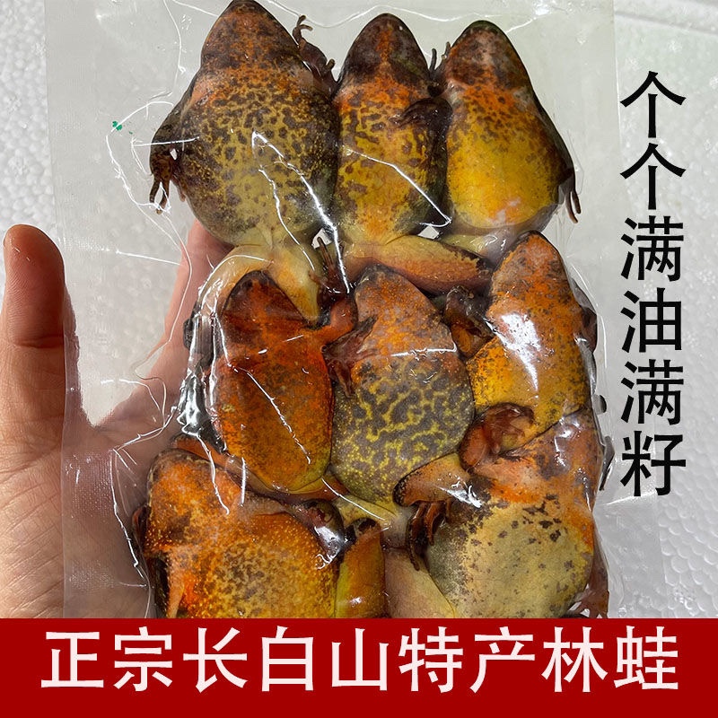 东北母豹子长白山10-14只/斤速冻母林蛙，冰鲜雪蛤黄肚皮满油满籽，野生美味的秘密大公开！