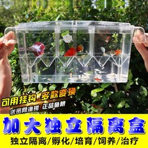 Fish Tank Segregation Bin Mini Parrot Fish Breeding Isolated Boxes Motherfish Breeding Isolated Boxes Independent water Incubation Breeding