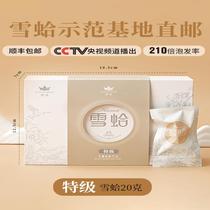 Special grade Zhongbao snow clam flagship store snow clam line oil Northeast forest frog oil snow clam dried papaya stewed snow clam snow ha