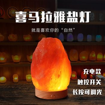 Himalayan Salt Lamp Rechargeable Natural Rock Lamp Feng Shui Ornament Bedside Table Lamp Everlasting Light Fortune-Attracting Night Light