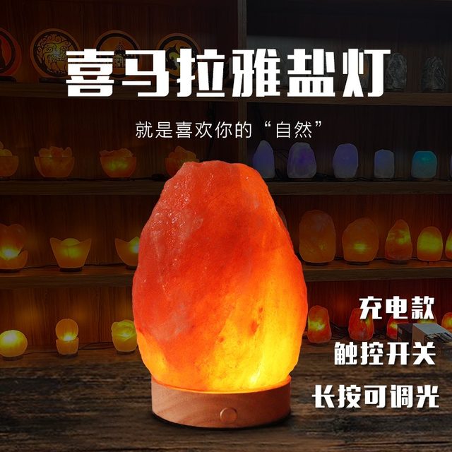Himalayan Salt Lamp Rechargeable Natural Rock Lamp Feng Shui Ornament Bedside Table Lamp Everlasting Light Fortune-Attracting Night Light