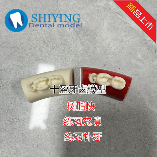 牙科练习树脂块儿练习补牙根管充填 嵌体粘接牙模牙粒 包邮