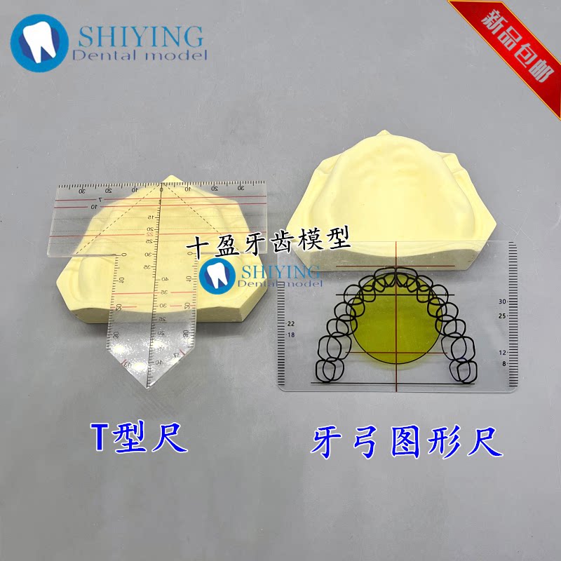 口腔牙科 T尺HCH画线排牙检查正畸对称 牙弓图形尺测量多功能尺子