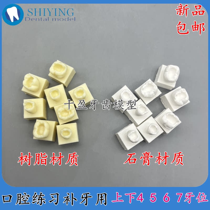 树脂充填牙模型I类洞带洞牙补牙块嵌体练习树脂模型 口腔学生练习