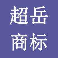 超越知识产权企业店的LOGO
