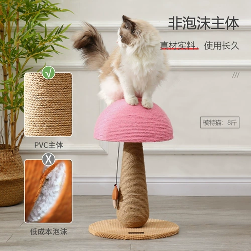 Грибная кошка хватает тарелку, устойчиво к перхоти, доска кошачьего кошачьего перхоти, мечи, шлифовальные той той продукты для кошек кошачь