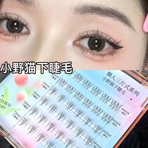 Pussycat Dolls Lower Eyelashes False Eyelashes Female Segmented Natural Simulation Transparent Stalk Comic Eye Lazy People Trilogy Self-Adhesive