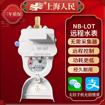 Shanghai people's NB-LOT remote intelligent prepaid water meter rental room household copper tap water meter 4 points