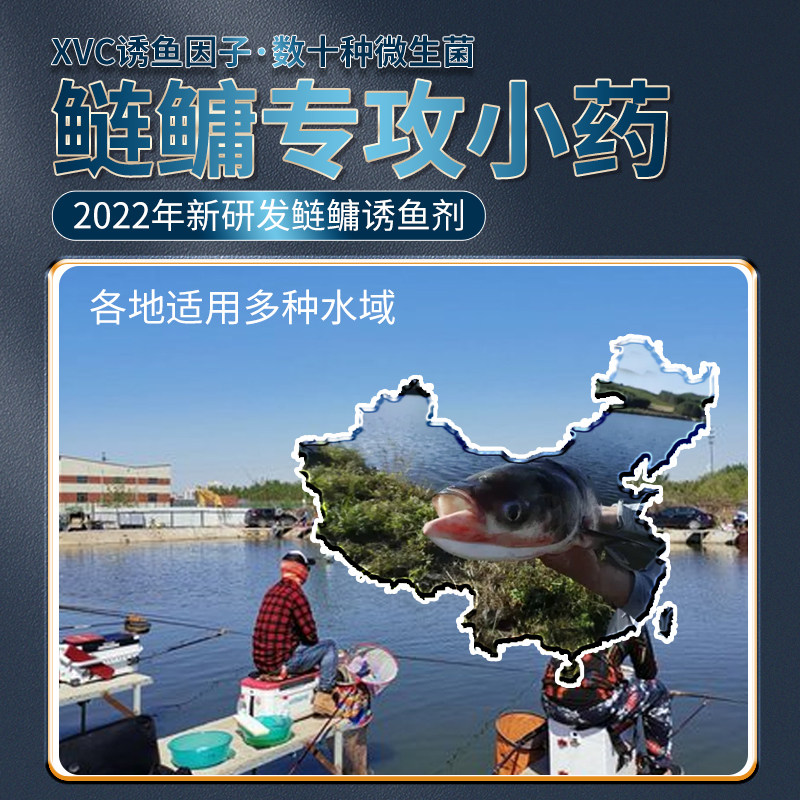 水海鲢鳙小药浮钓饵料:🐟专攻大头鱼花白鲢的钓鱼神器,让你轻松上大鱼!🌊-活饵-淘宝好物网