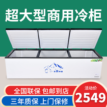 Freezer Commercial Large Capacity Straight Cold Super Large Horizontal Refrigerated Frozen Fridge Supermarket Quick-Freeze Power Saving Single Warm Snow Cabinet