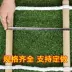 10m 15m 20m thoát hiểm dây mềm thang thuyền đời thang leo thang cứu hộ dây mềm thang miễn phí vận chuyển thang thoát hiểm 