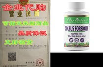 Paradise Coleus Forskoli - 10% Forskolin Extract - 100%