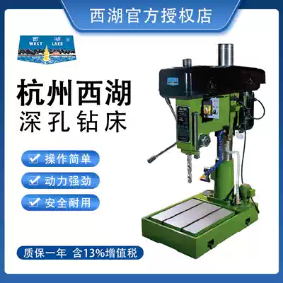 Hangzhou West Lake deep hole desktop drilling machine Industrial grade desktop drilling machine Maximum stroke 180mm with cooling Z4025T