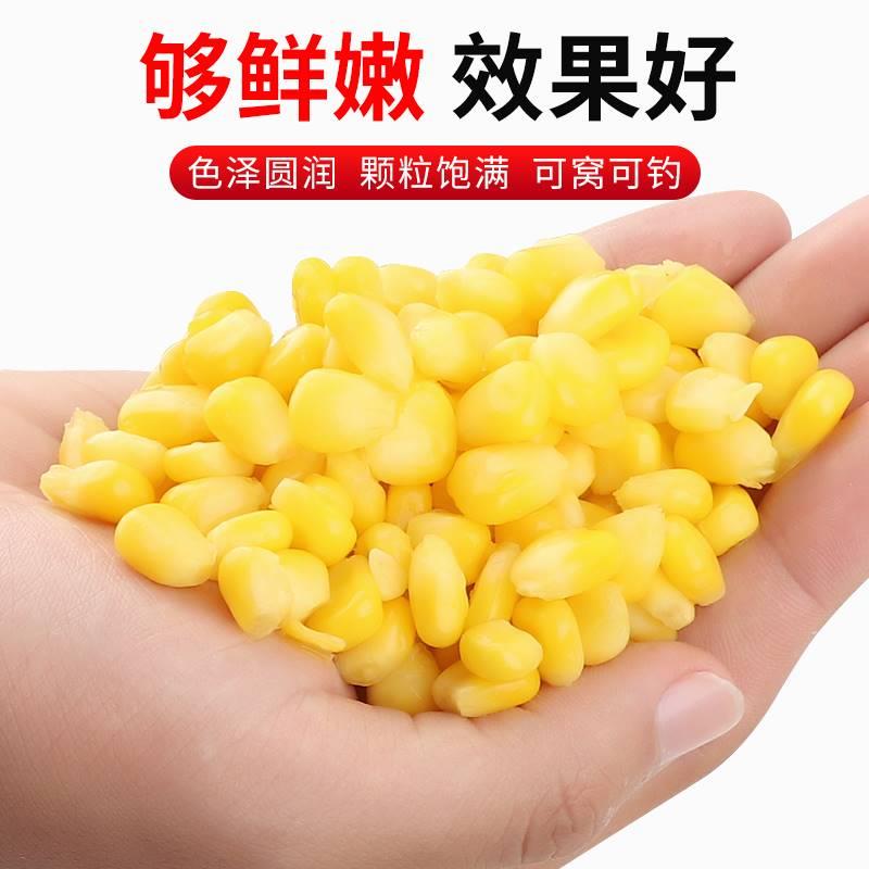 Wuhan Tianyuan Deng Gang official flagship store Han Tiannen corn nest bait fish Wu bait nest wild fishing yuan corn kernels