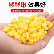 Wuhan Tianyuan Denggangs official flagship store Han Tiannen corn nest bait fish Wu bait hits wild fishing yuan corn kernels