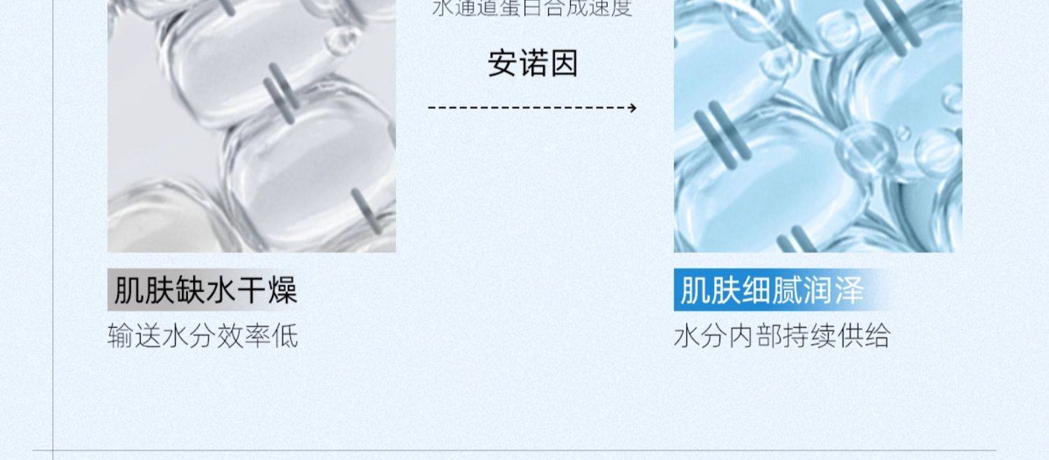 C咖 山茶花睡眠涂抹面膜10罐 舒缓保湿修护 深层补水  【买10送4+喷雾】赠同系列波色因精华喷雾80g➕额外4罐  熬夜急救