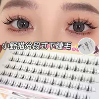 60 пучков нижних ресниц ленивой дикой кошки,