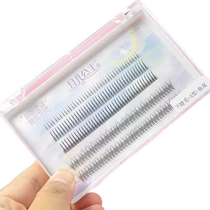 Moon Princess Fish Tail A-type Hair Lower Eyelash Combination False Eyelashes Fairy Hair Single Cluster Natural Simulation Grafting