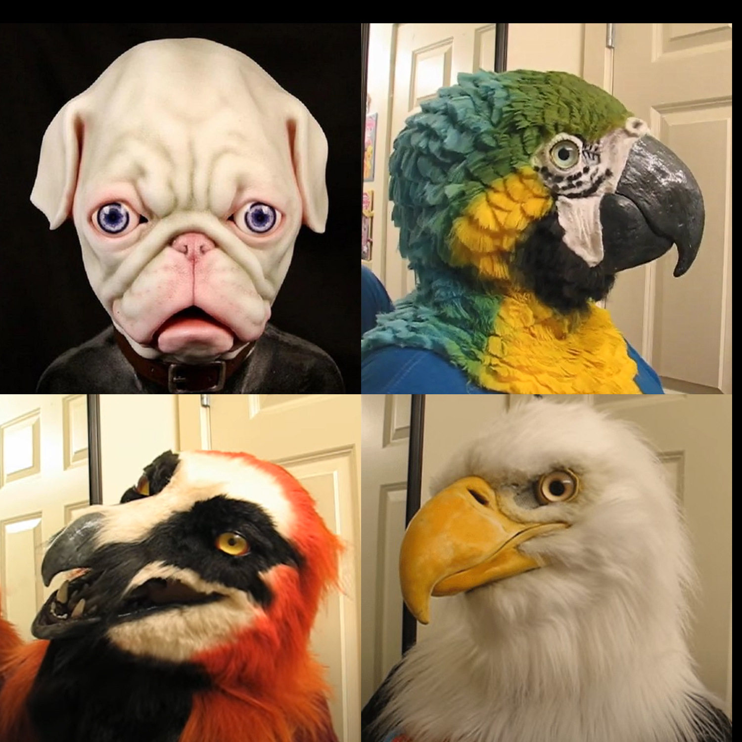 Eagle mask male eagle headgear Halloween emulation Animal fighting bull dog parrot old man's hood mask