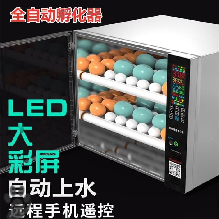 Mini Breeder Eggs With Add Water Family Home Fully Automatic Incubators Flipping Egg roller Incubator Eggs with Turning Egg-Taobao