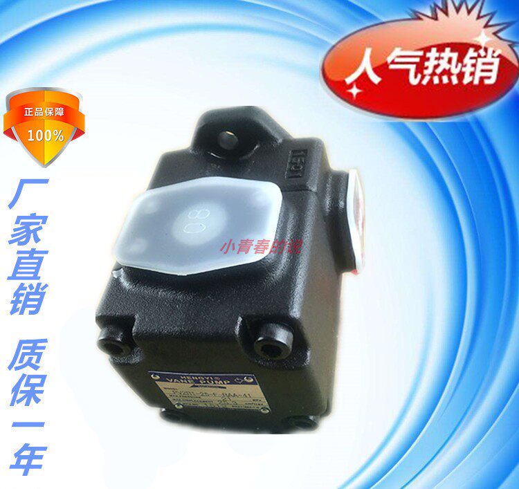 HENGYI PV2R1-6 8 10 12 14 17 19 23 25 28 31-F-RAB-41 vane pump