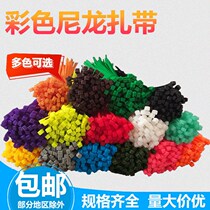 (colored ribbons) Self-locked nylon straps large small and medium size plastic cingulum strapping with binding bunch wire straps